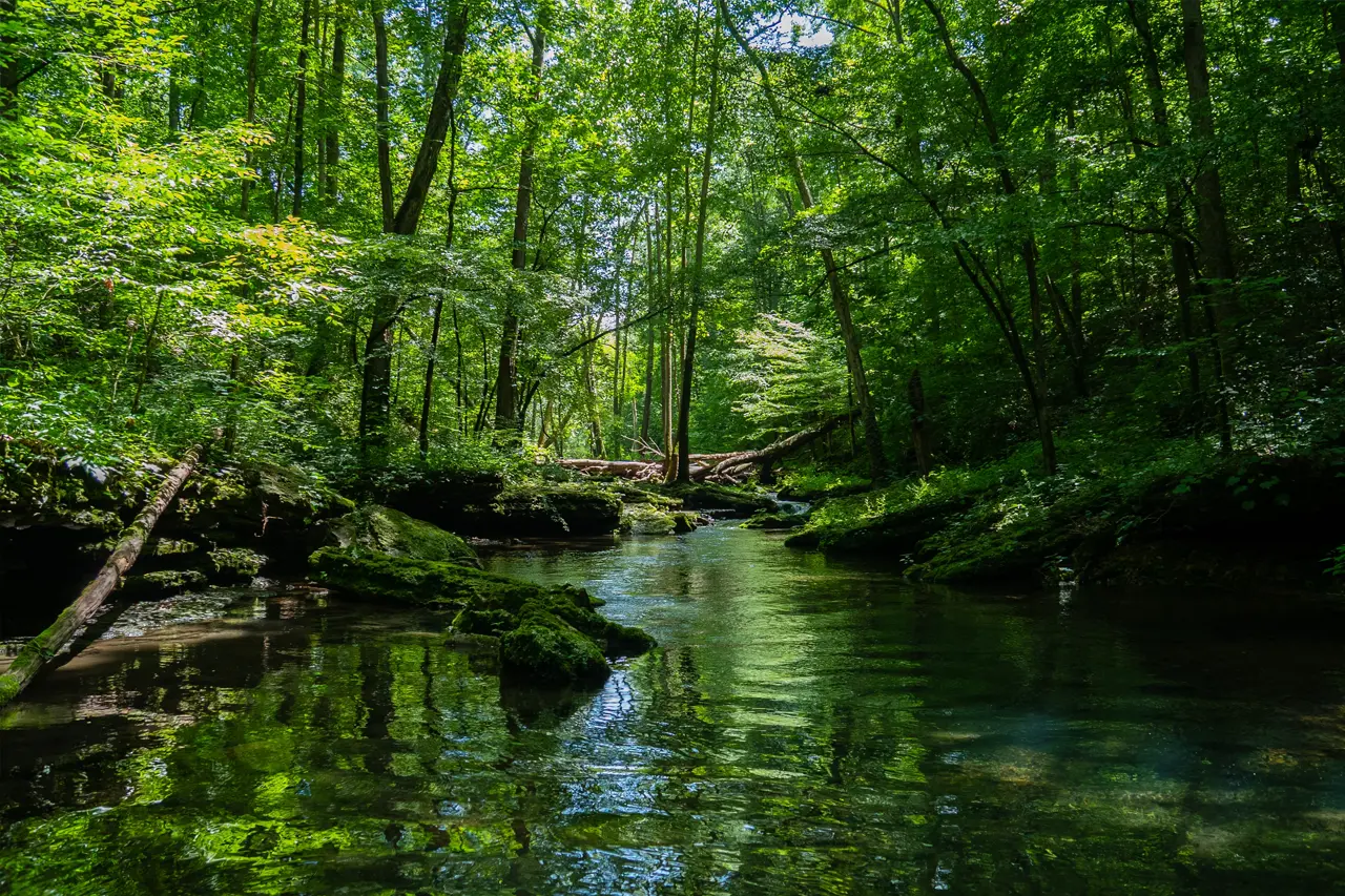 Posouzení vlivů na životní prostředí